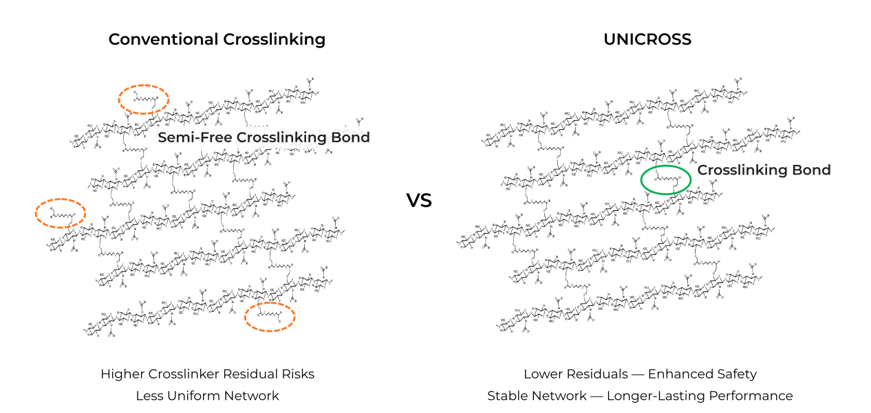 Comparison illustrating UNICROSS technology and a more uniform cross-linked hyaluronic acid network